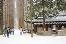 코레일유통남춘천역 | 코레일 특별열차, 춘천 경제 ´미소´