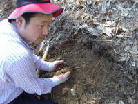 “산삼장사꾼들의 현혹, 이제 뿌리뽑아야!”