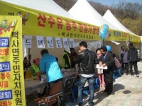 이천 백사산에도 산수유는 핀다