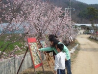 유별난 마을 ´유별난 축제´ 성료