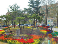 포항시민과 함께하는 제 8회 선린대학 튤립축제