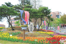 포항시민과 함께하는 제 8회 선린대학 튤립축제