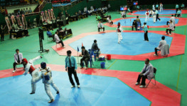 구례군, 전남 종별 태권도대회 개최