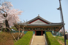 벚꽃과 호수가 있는 경포대로 오세요!