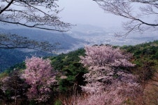 <최진연의 우리 터, 우리 혼〉서운산성 혼령들이 분개하다
