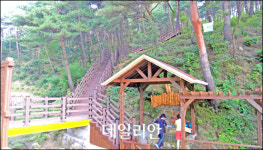 양양군 모노골삼림욕장 ´첫선´