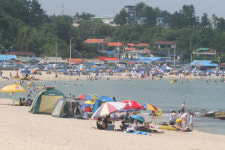 동해안은 지금 피서가 ´절정´