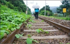 다산길에서 낭만과 향수를 함께...