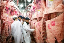 경북한우 ´고급화´ 전략 실행