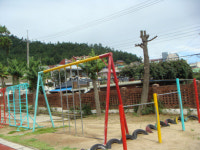 목포 K초등학교, 학교내 수십년생 조경수 ´싹뚝´