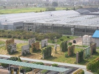 미셸 오바마도 ´키친가든´서 채소를 기릅니다