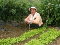 텃밭 가꾸는 재미에 ´푹´ 빠졌어요