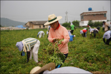 ´소통´과 ´화합´으로 더 큰 구미