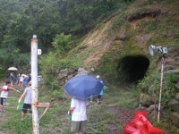 밤나무농장에서 알토란같은 꿈을 펼치다