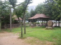 밤나무농장에서 알토란같은 꿈을 펼치다