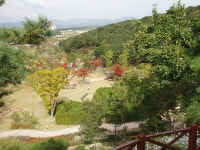 제1회 황학산수목원 ‘임(林)과 함께’ 숲속 작은 음악회