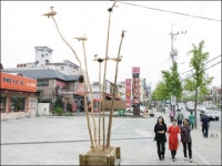 서대구로 ´솟대´ 명물거리 조성