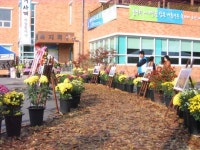 ´제6회 율면의 사계(四季) 축제´ 개최