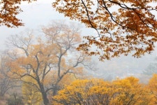 남한산성…절정의 단풍과 다양한 문화체험 ´황홀´