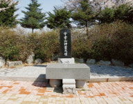 신라시대 옛 터는 벚꽃으로 분홍빛 물결