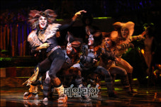 [뮤지컬 캣츠]쿨한 정민표 ‘럼 텀 터거’