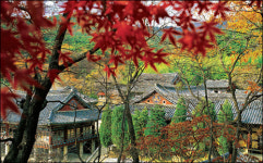 한국관광공사 추천 10월의 가볼만한 곳②