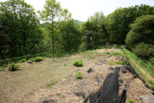 <최진연의 우리 터, 우리 혼>천림산봉수는 금토동이야 인릉산이야?