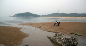 [충남 태안]6월의 가볼만한 곳⑦