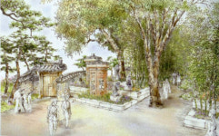 안면도수목원에 ‘세계 소나무 정원’ 조성된다