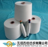 [PIS 2013] 중국 섬유기업 31개사 참가