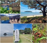 한국여행-옹진군, 자월도+덕적도+소야도