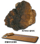 차가버섯과 온열바이오매트