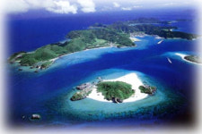 웰빙 열풍의 선두주자