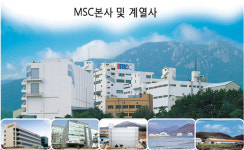 코스닥상장사 MSC후코이단 황산기 1위와 순도 세계 정상급