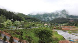 자연과 함께 심신을 치유한다 ‘다남의원’