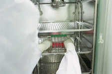 도반한방병원, 한방병원 최초 ‘첨단 재생의료 실시기관’ 지정 한방 항암치료의 한계를 뛰어넘다