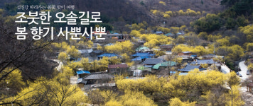조붓한 오솔길로 봄 향기 사뿐사뿐