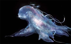 ‘완벽’ 꾀한 특수 효과, 애쓴 보람 있을까