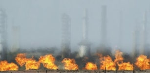 폐허 속에서 꿈이 피어난다