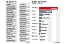 체질은 안 바꾸고 억지로 생살 도려낸다?