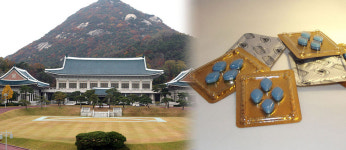 보령약국과세 | [Today] 청와대는 세금으로 비아그라를 샀다