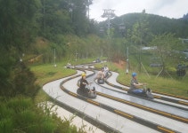 ‘통영루지(luge)’ 보험이 이상하다