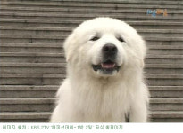 [연예] 상근이, 2세와 함께 슈주 뮤직비디오에 출연