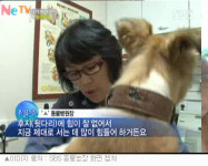 TV 동물농장 학대받는 누렁이, 시청자들 충격