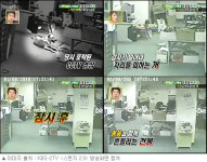 <스펀지>, 자연재해 예감하는 동물들의 육감 공개