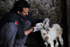 [인터뷰] <네 번> 미켈란젤로 프라마르티노 감독 “관객의 해석 의해 완성되는 영화”