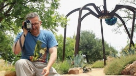 [2013 PiFan] 테마 별 추천작, 사랑과 환상 그리고 모험을 그대 품 안에