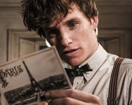 신비한 동물들과 그린델왈드의 범죄 에디 레드메인 볼드모트 오디션 봤었다