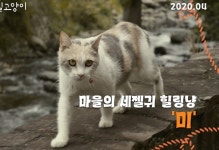 ‘선생님과 길고양이’, 메인 예고편 공개