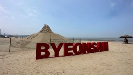 [맥스무비레터 #14번째 편지] 늦여름, 변산해수욕장에서 함께 청춘 영화 보실래요?